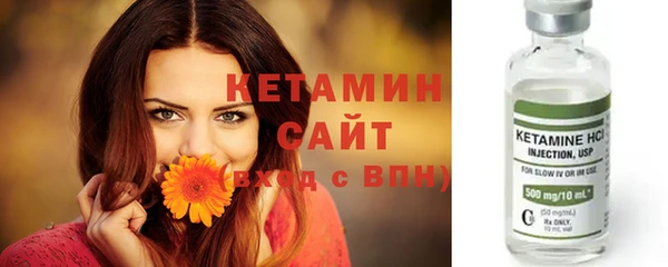 СК Новозыбков