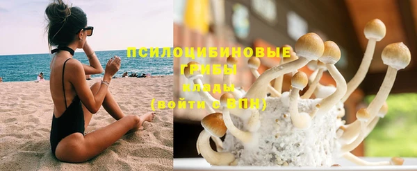 шишки Нягань