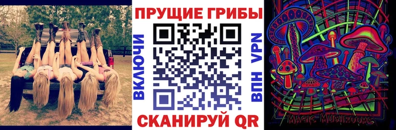 Купить закладки  Петрозаводск  Галлюциногенные грибы Magic Shrooms 